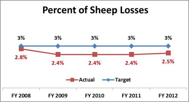  sheep loss 